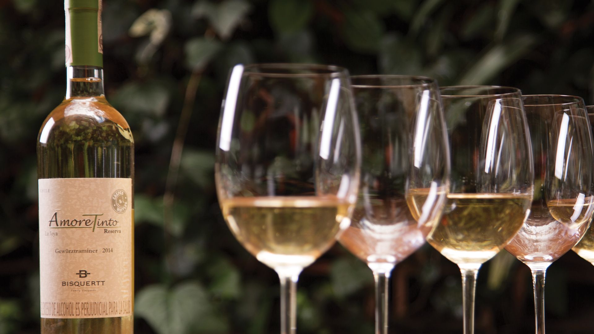 Botella de Vino Amoretinti Blanco - Crepes&Waffles